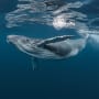 The risks of living outside nature’s boundaries