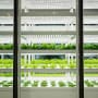 The sustainability revolution marches on