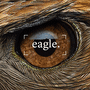 Building portfolios around Eagles to deliver superior returns for our clients