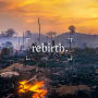 Hope from the ashes: unearthing ancient value in our forests