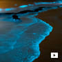 Die CLIC®-Chronik: Ein Treffen mit Glowee, dem Start-up, das nachhaltige Beleuchtung aus biolumineszenten Bakterien schafft