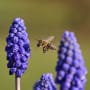 Revaluing nature – the world’s most under-priced asset class