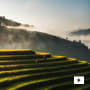Asia in Focus Episode 1: Lombard Odier's commitment and growth in Asia
