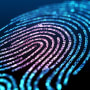Building digital trust in an ever-changing world