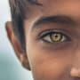 The philanthropy paradox: public attitudes to giving