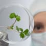 Lombard Odier sponsors leading UK life sciences forum