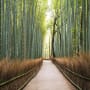 Japan's road to net-zero: between a rock and a hard place