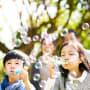 Diverse but undivided: how centi-millionaire families can manage wealth with purpose 