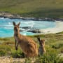 Australian finance industry pushes for clear sustainability agenda
