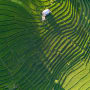 Thailand tackles Sustainability with Carbon Credits