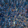Portfolio allocations, relocation and global diversification