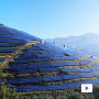 Asia in focus:Sustainability