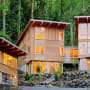Lumber: back in vogue for a bio-based economy