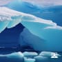 Webinar | rethink net zero: investing in the transition