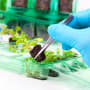 Building new food systems with GM crops