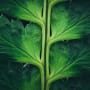 Affrontare il cambiamento: Natural Capital di LOIM compie due anni