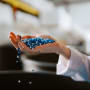 Capturing value in plastic waste