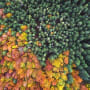 Sustainability Forum: preparing for the transition