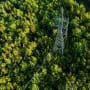 Challenging a US energy firm on exiting coal