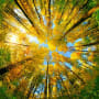How can we connect net-zero to nature positive?