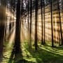 Exclusive research from Lombard Odier and the University of Oxford on green competitiveness in the global economy