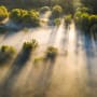 Investir dans la nature pour changer l’avenir