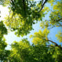 Reducing emissions from farm to fork