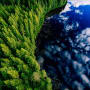 Climate bonds: investing with impact in the race to net zero