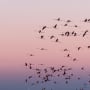 LOIM becomes a signatory to the UK Stewardship Code
