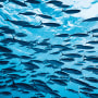Credit and sustainability: ignorance is risk