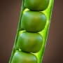 The rise of new food systems