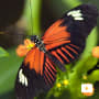 In bloom: the 1st year of  LO Funds-Natural Capital