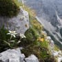 Swiss credit: spotlight on inflation and ESG