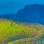 Biodiversity vaults onto the G7 agenda