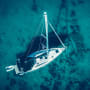 CIO views: seizing policy-driven opportunities
