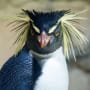 Upcycling plastic, EV accelerations, ECB targets climate risk: key sustainability news in March
