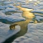 What sustainability news mattered to investors in January?