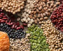 systèmes alimentaires.