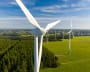 Global Carbon Opportunity