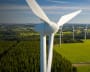 Global Carbon Opportunity