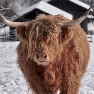 I can’t say I’m bullish