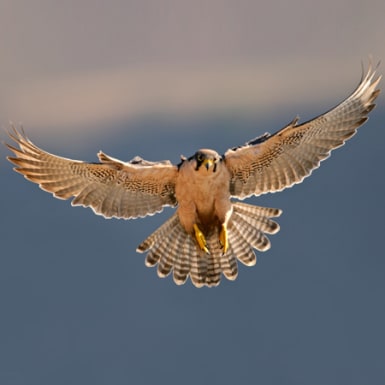 Reality check: corporate credit exits the twilight zone