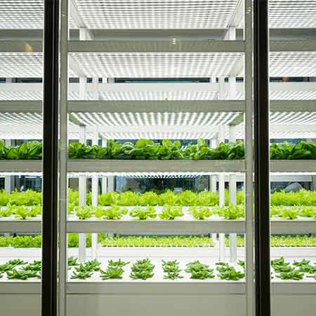“The sustainability revolution”