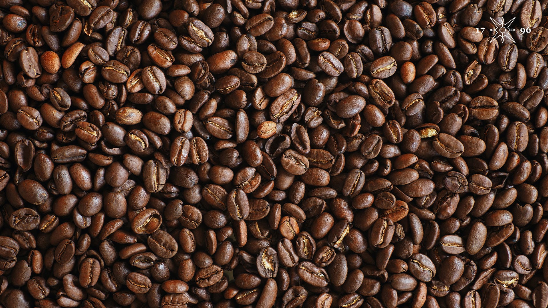 re-NATURE Hub at COP28: we spoke to Sebastian Nielsen, CEO of Slow Forest coffee