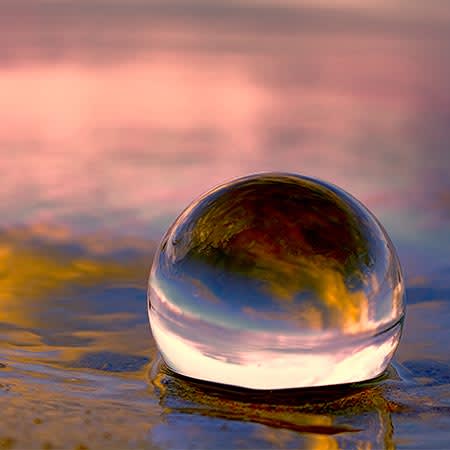 We only have one planet: it’s up to everyone to protect it