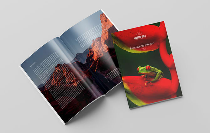 download the full report here