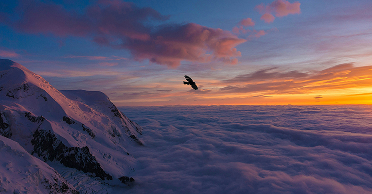 locom/news/2025/12/20251217/LettreFinAnnee_ArticleLOcom_Image2